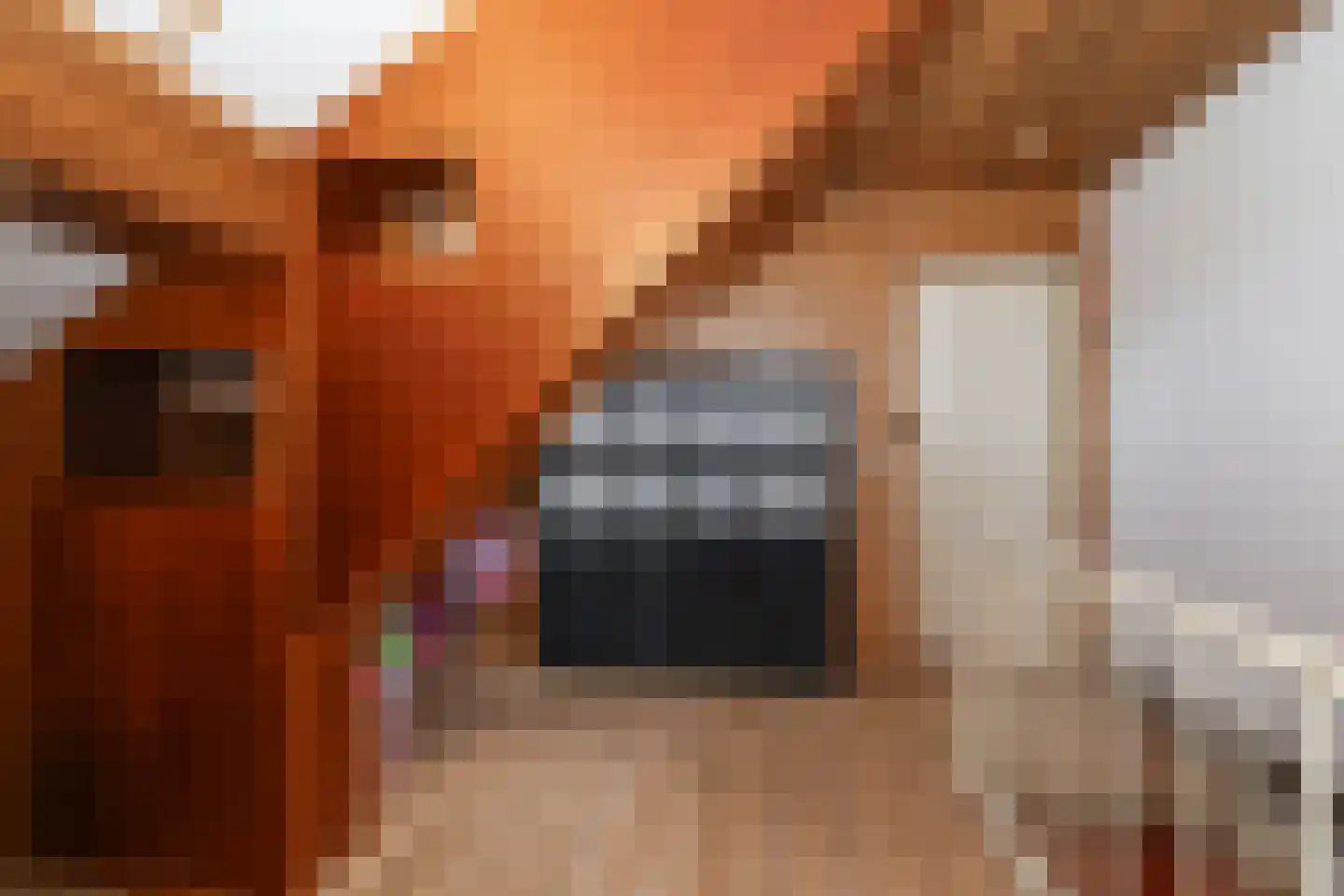 Alardusdreef 100 Rockanje thumbnail 40