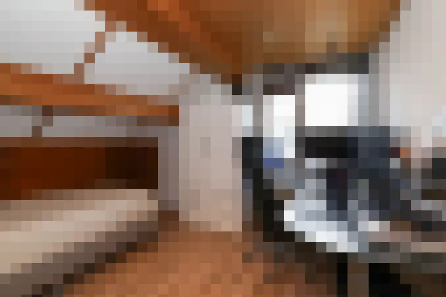 Alardusdreef 100 Rockanje thumbnail 43