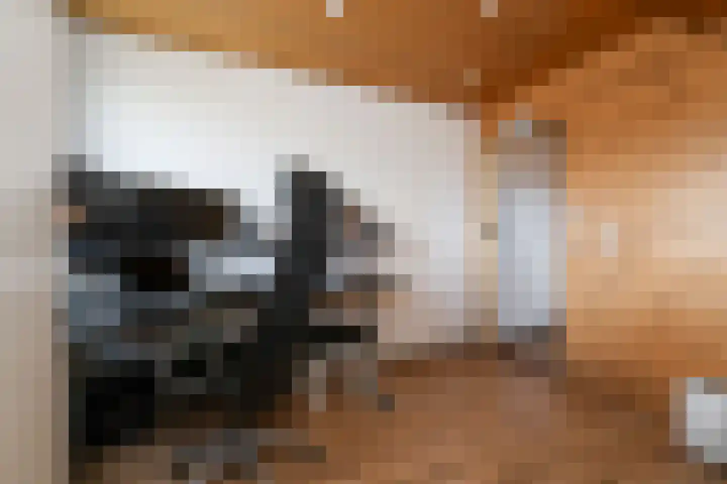 Alardusdreef 100 Rockanje thumbnail 44