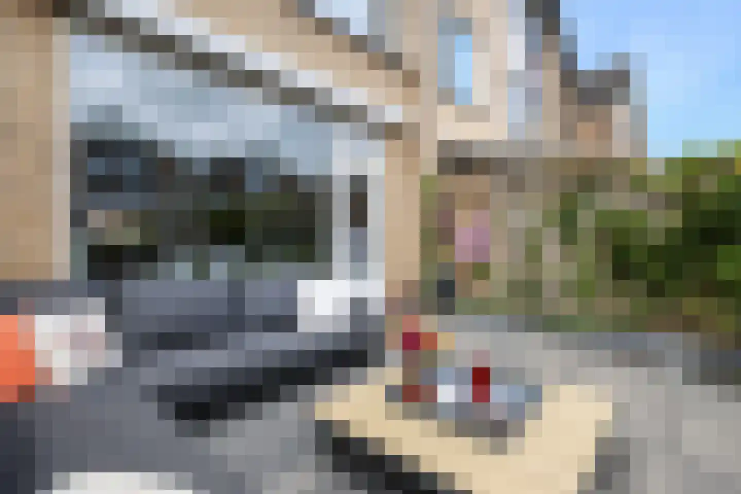 Alardusdreef 100 Rockanje thumbnail 46