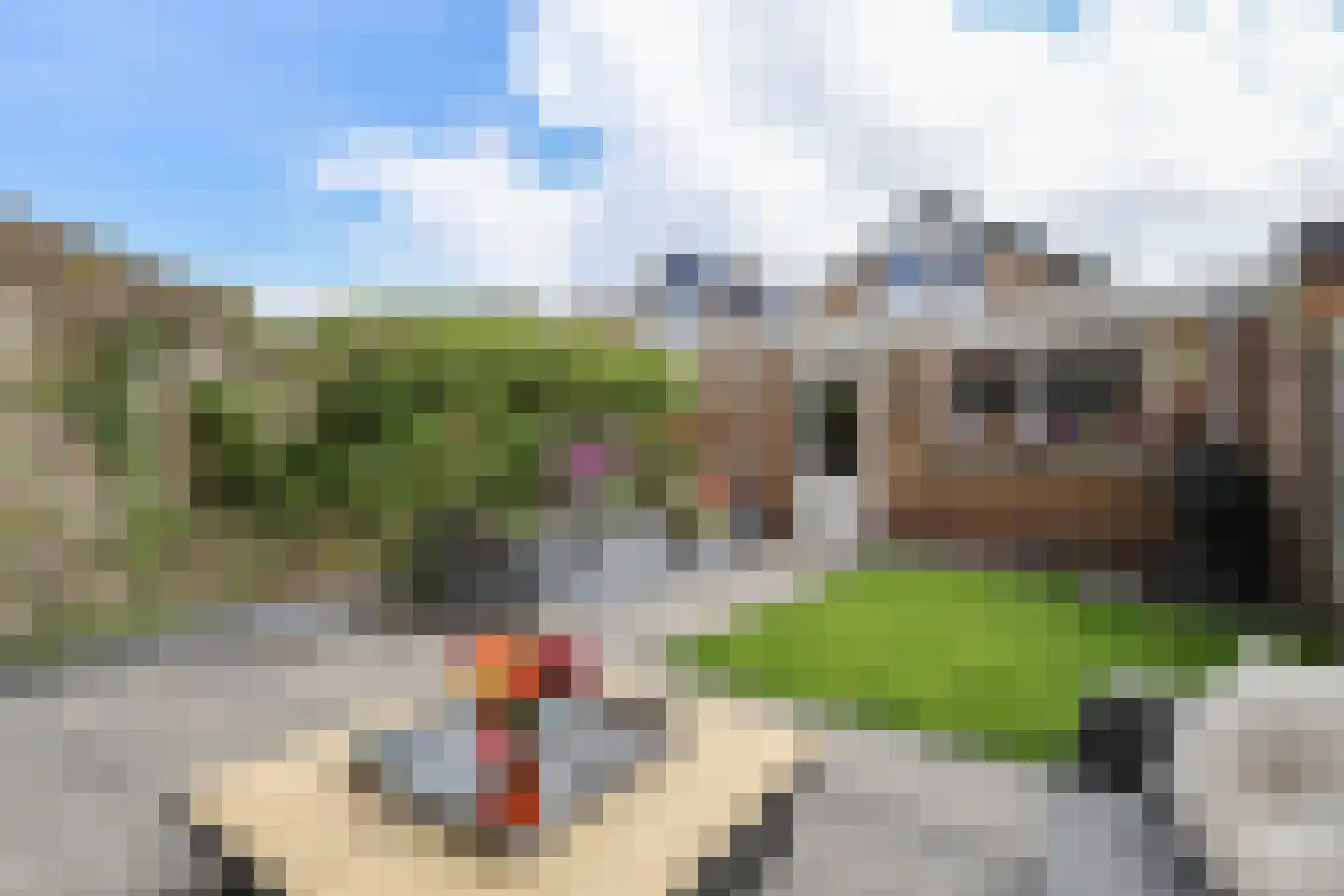 Alardusdreef 100 Rockanje thumbnail 53