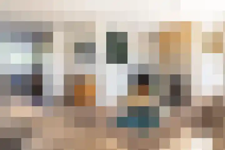 Alardusdreef 62 Rockanje thumbnail 10
