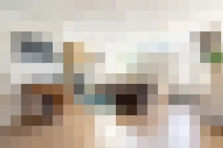 Alardusdreef 62 Rockanje thumbnail 11