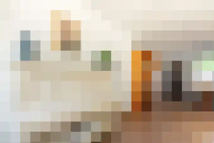 Alardusdreef 62 Rockanje thumbnail 12