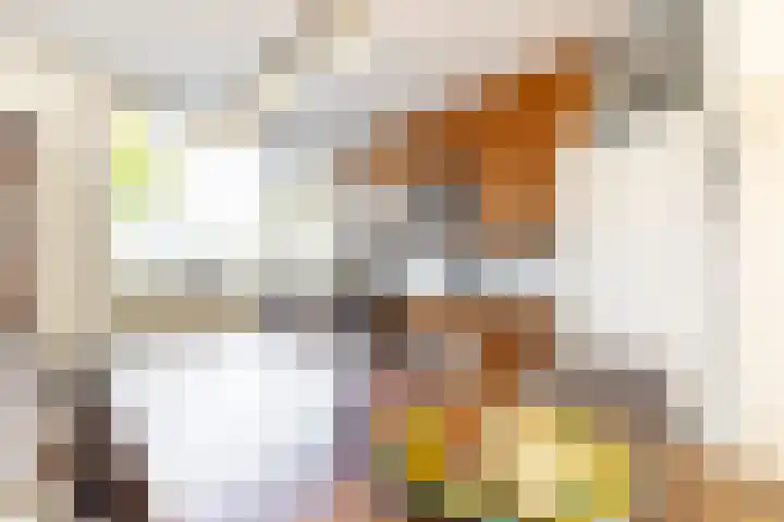 Alardusdreef 62 Rockanje thumbnail 14