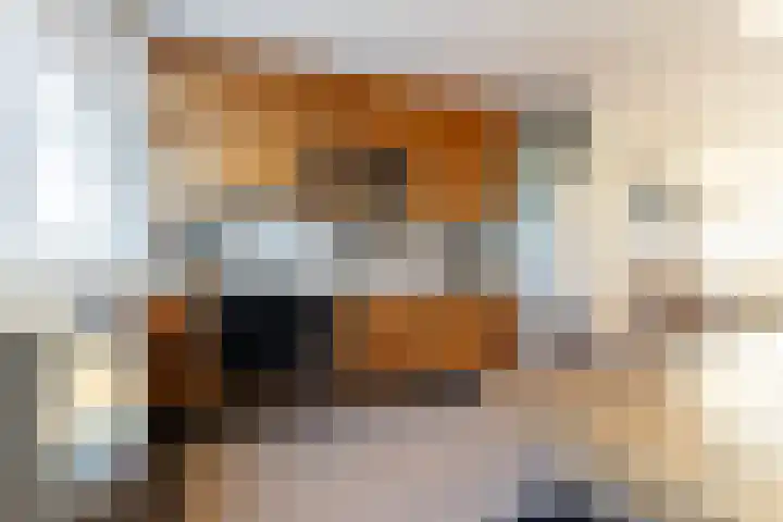 Alardusdreef 62 Rockanje thumbnail 15