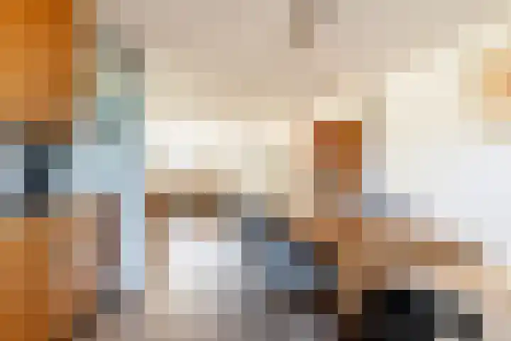 Alardusdreef 62 Rockanje thumbnail 17