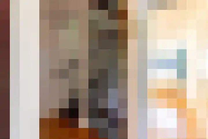 Alardusdreef 62 Rockanje thumbnail 20