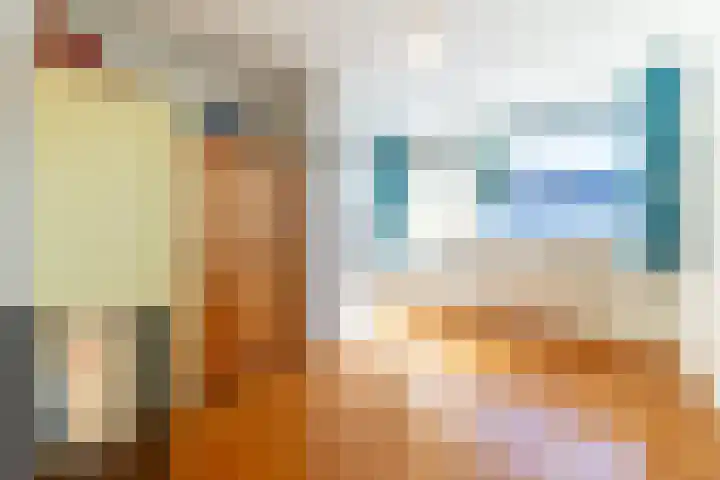 Alardusdreef 62 Rockanje thumbnail 21