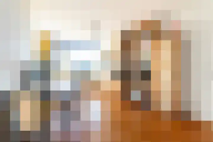 Alardusdreef 62 Rockanje thumbnail 23