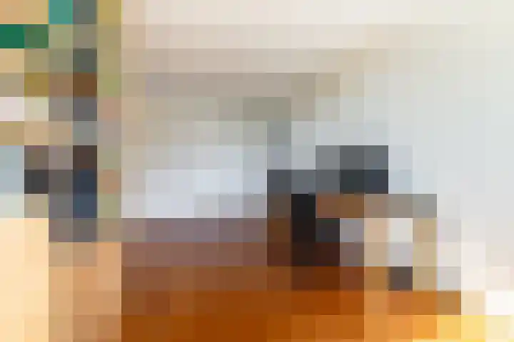 Alardusdreef 62 Rockanje thumbnail 24