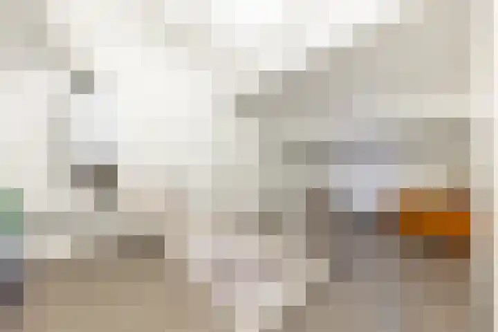 Alardusdreef 62 Rockanje thumbnail 29