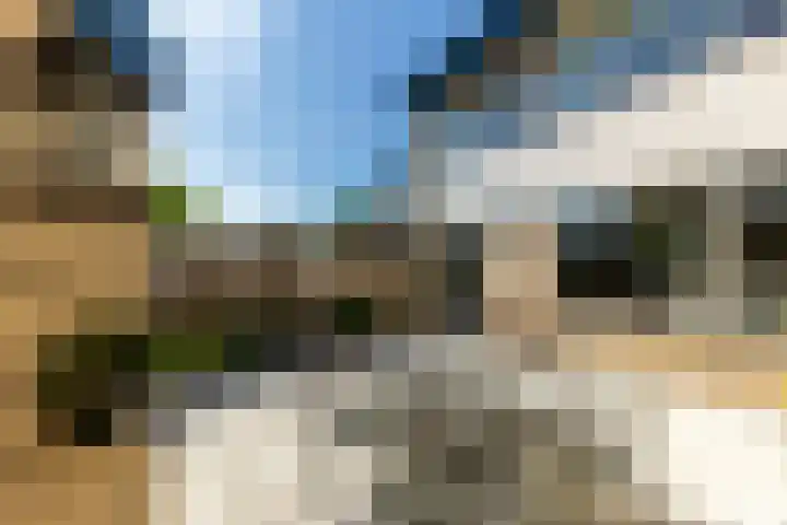 Alardusdreef 62 Rockanje thumbnail 36