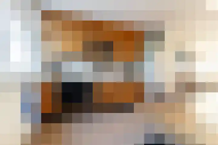 Alardusdreef 62 Rockanje thumbnail 4