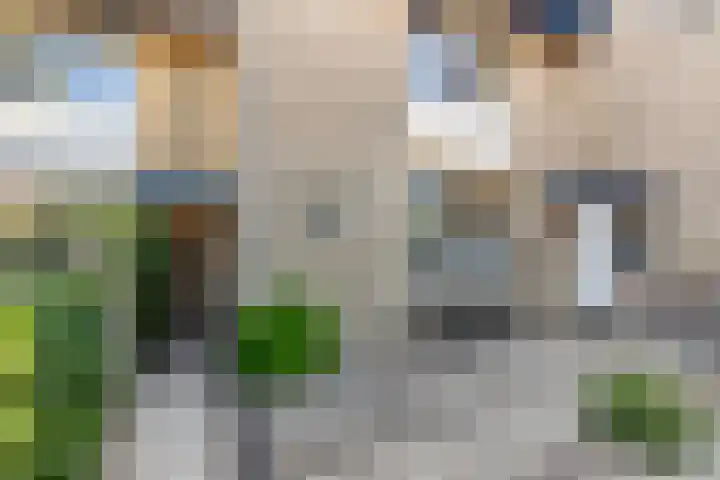 Alardusdreef 62 Rockanje thumbnail 5
