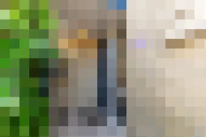 Alardusdreef 62 Rockanje thumbnail 6