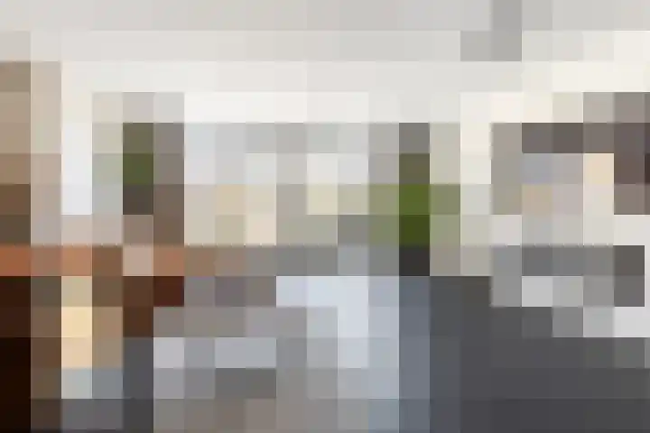 Alardusdreef 70 Rockanje thumbnail 10