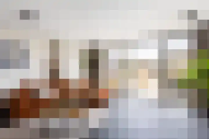 Alardusdreef 70 Rockanje thumbnail 11