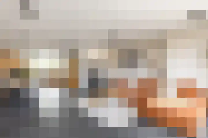Alardusdreef 70 Rockanje thumbnail 12