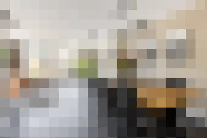 Alardusdreef 70 Rockanje thumbnail 13