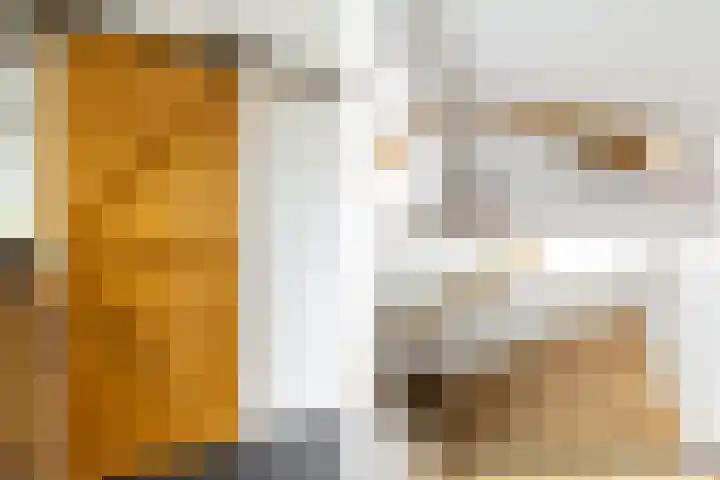 Alardusdreef 70 Rockanje thumbnail 16