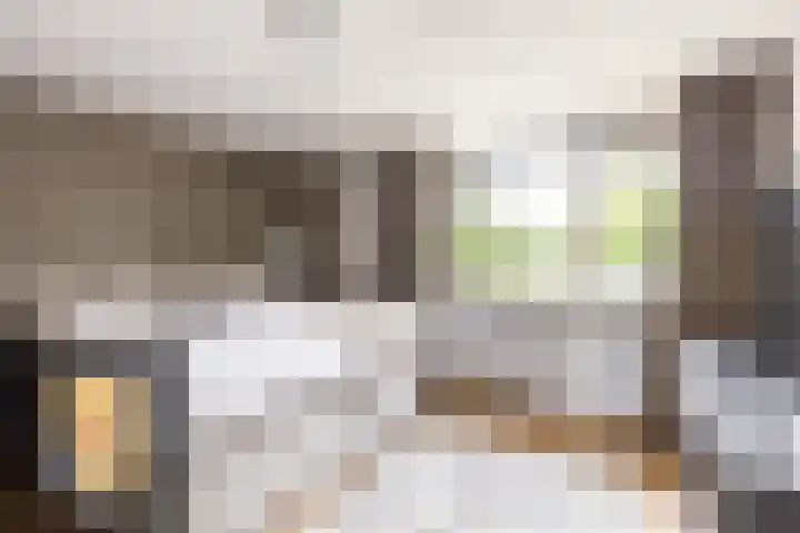 Alardusdreef 70 Rockanje thumbnail 17