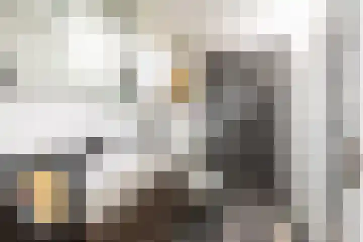 Alardusdreef 70 Rockanje thumbnail 18