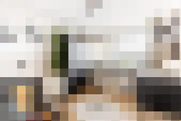 Alardusdreef 70 Rockanje thumbnail 22