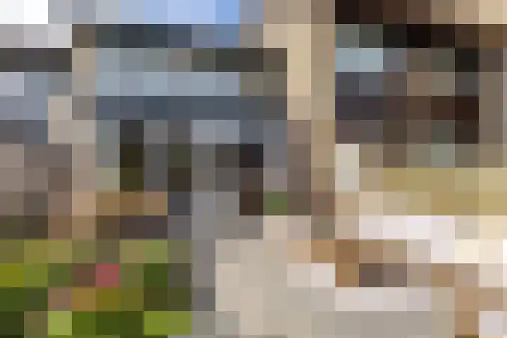 Alardusdreef 70 Rockanje thumbnail 26