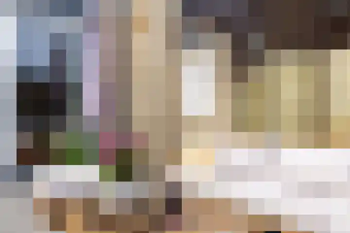 Alardusdreef 70 Rockanje thumbnail 27