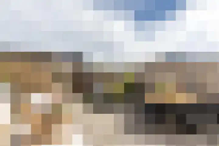 Alardusdreef 70 Rockanje thumbnail 29
