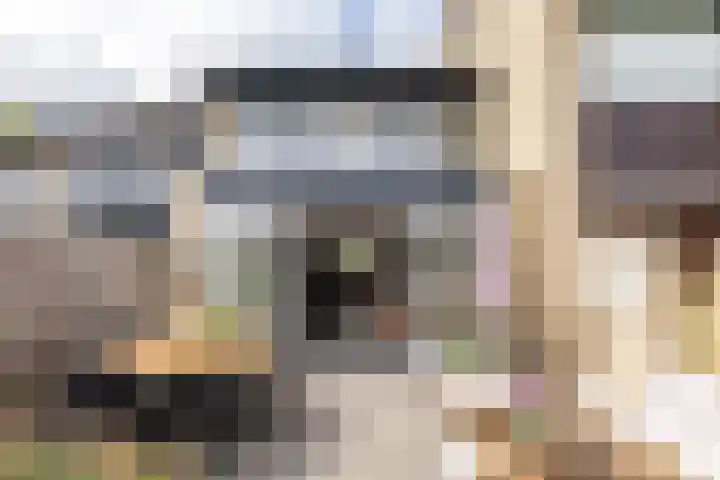 Alardusdreef 70 Rockanje thumbnail 4