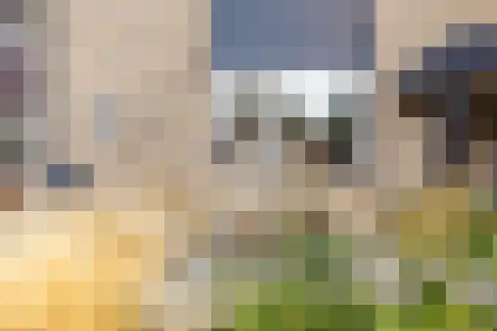 Alardusdreef 70 Rockanje thumbnail 6