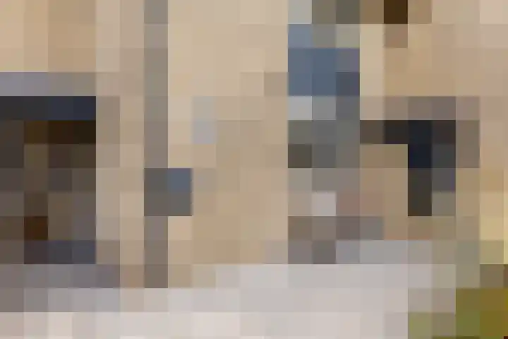 Alardusdreef 70 Rockanje thumbnail 8