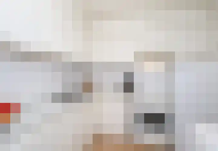Alardusdreef 77 Rockanje thumbnail 16
