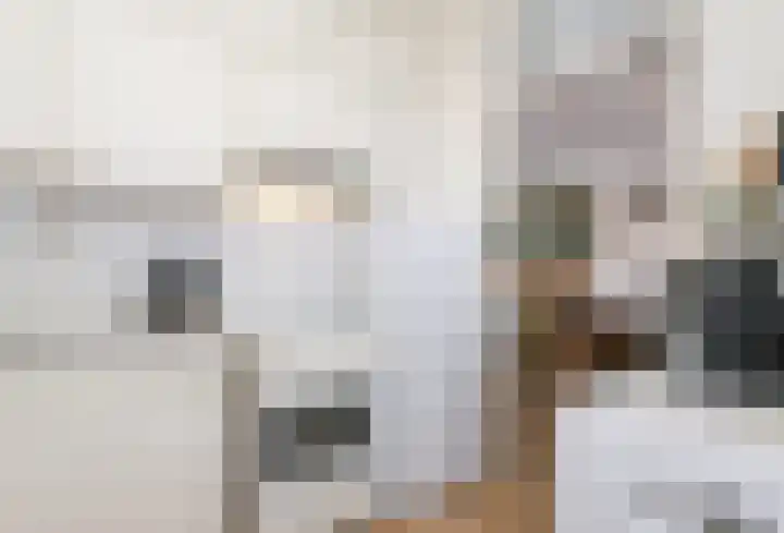 Alardusdreef 77 Rockanje thumbnail 17
