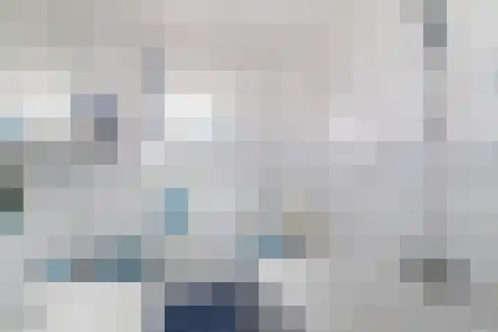 Alardusdreef 77 Rockanje thumbnail 19