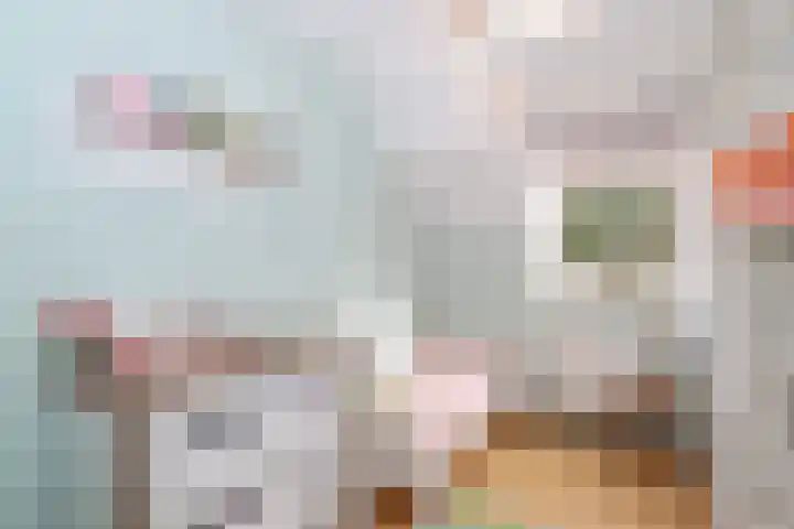 Alardusdreef 77 Rockanje thumbnail 23