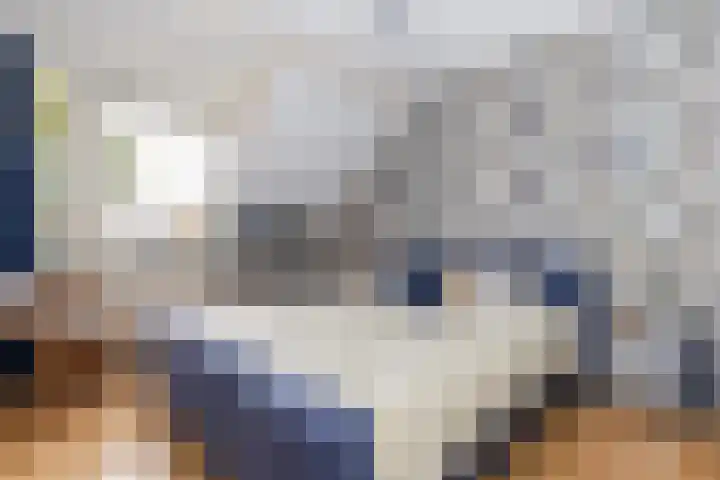 Alardusdreef 77 Rockanje thumbnail 25