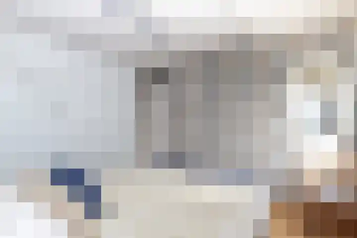 Alardusdreef 77 Rockanje thumbnail 26
