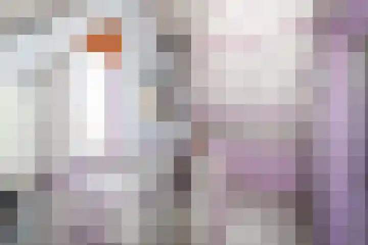 Alardusdreef 77 Rockanje thumbnail 28