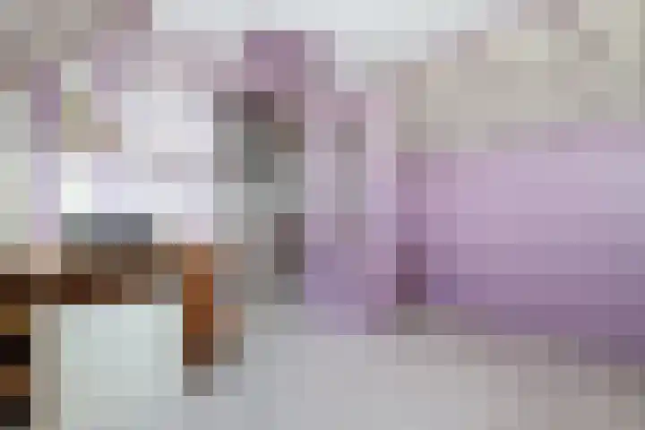 Alardusdreef 77 Rockanje thumbnail 31