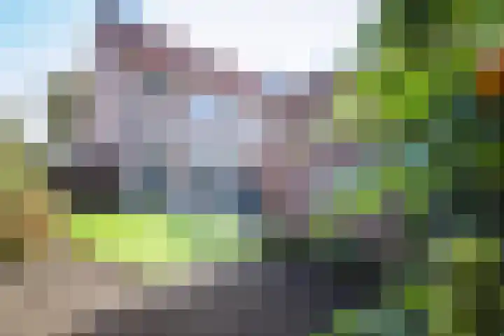 Alardusdreef 77 Rockanje thumbnail 32