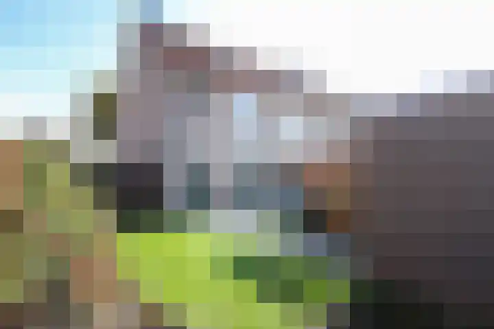 Alardusdreef 77 Rockanje thumbnail 33