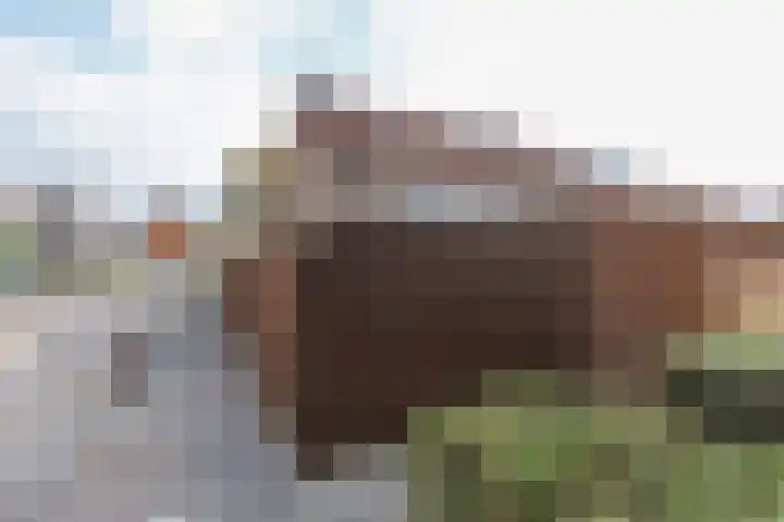Alardusdreef 77 Rockanje thumbnail 37