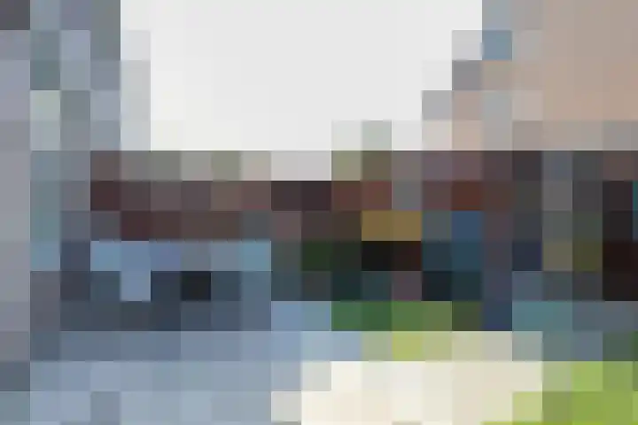 Alardusdreef 77 Rockanje thumbnail 40