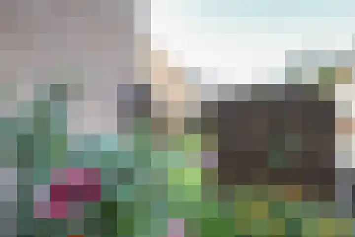 Alardusdreef 77 Rockanje thumbnail 42