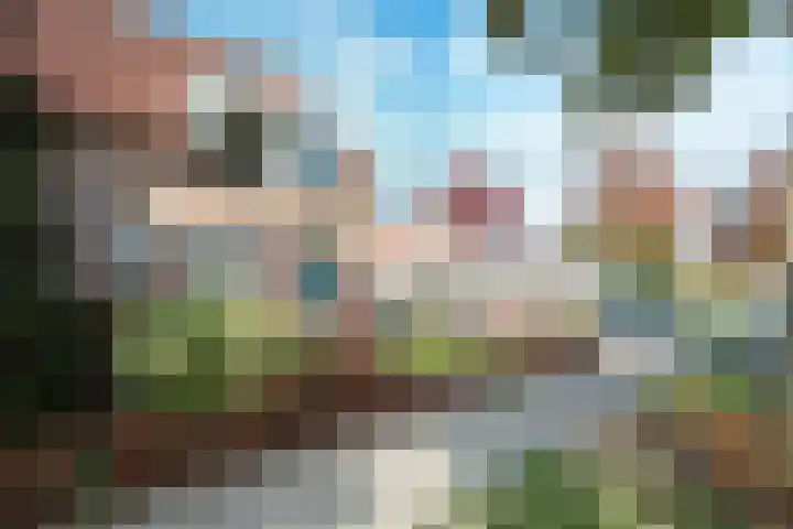 Alardusdreef 77 Rockanje thumbnail 7