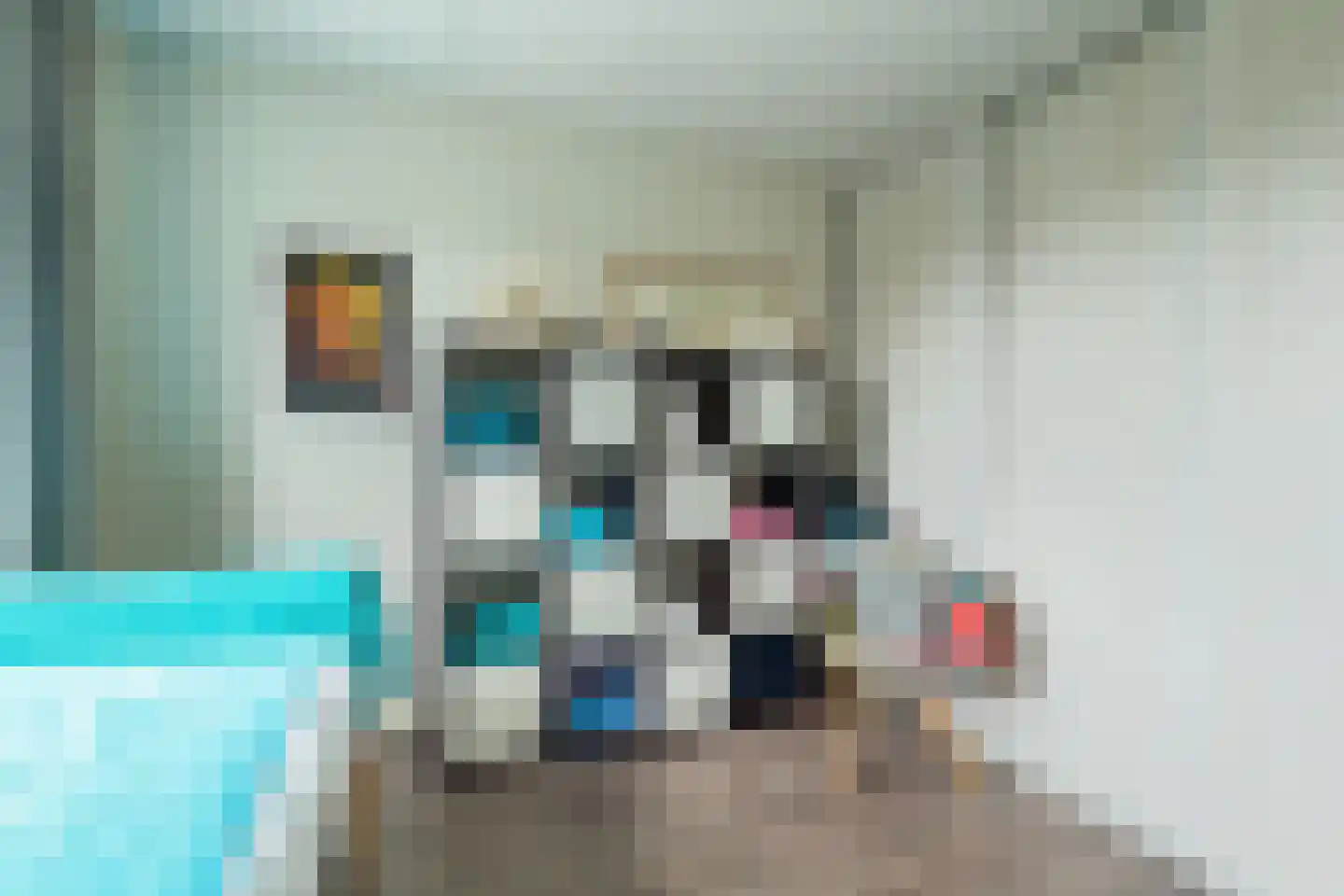 Alardusdreef 83 Rockanje thumbnail 32