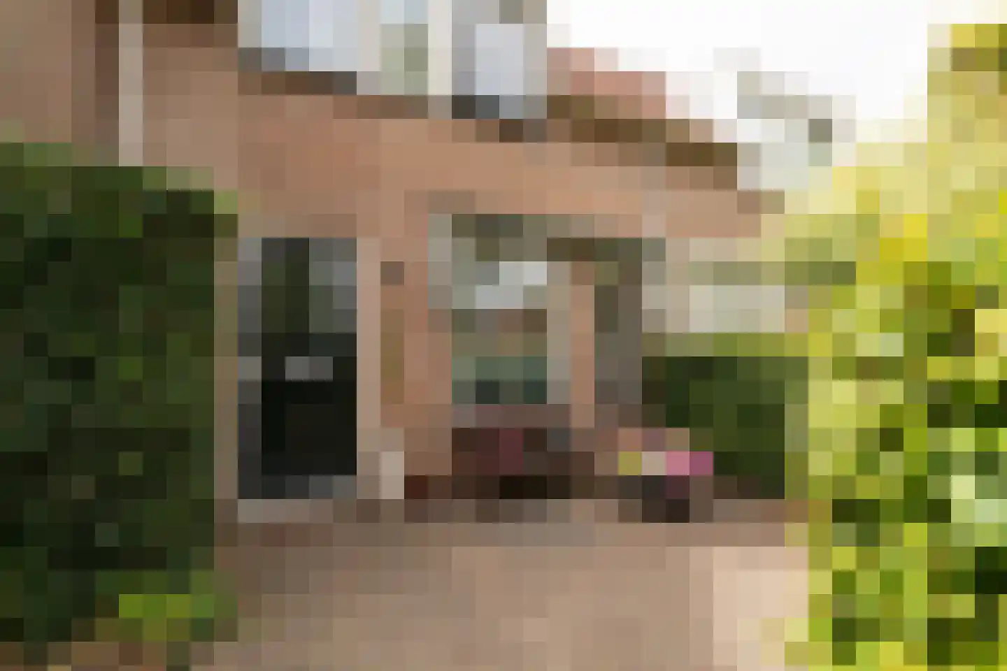 Alardusdreef 83 Rockanje thumbnail 39